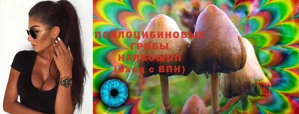 прущая мука Белокуриха